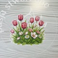 IMG_1612.JPG