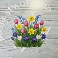 IMG_1628.JPG