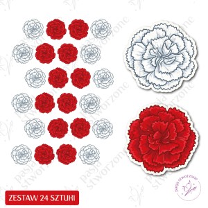 Goździki - biało-czerwone - 24 sztuki - 13 cm