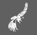 Screenshot 2025-02-11 21-36-01.png