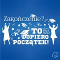 amm_Obszar roboczy 1.png