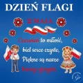 dzien flagi x-11x-04.jpg