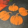 IMG_2891.JPG