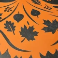 IMG_2898.JPG