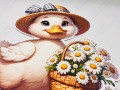 IMG_8791.jpg