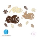 jasienne azurowe laminowane-12-18.jpg