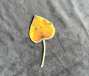 Jesienny liść 2 - 6 x 9cm - laminowane