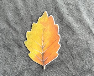 Jesienny liść 3 - 7 x 11cm - laminowane