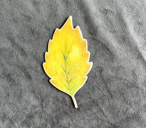 Jesienny liść 6 - 6 x 11cm - laminowane
