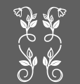 Screenshot 2025-08-06 16-13-22.png
