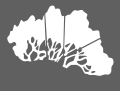 Screenshot 2025-03-26 12-06-18.png