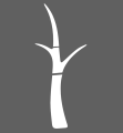 Screenshot 2025-02-16 13-08-28.png