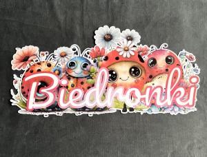 Grupa Biedronki - 37 x 18 cm