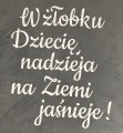 IMG_8443.jpg