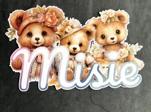 Grupa  Misie - 39 x 25 cm