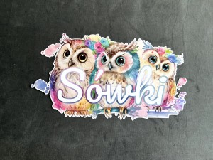 Grupa Sówki - 37 x 20 cm